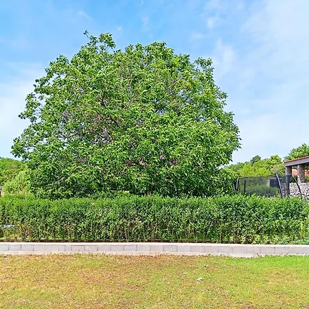 Marko With Football Field Drniš