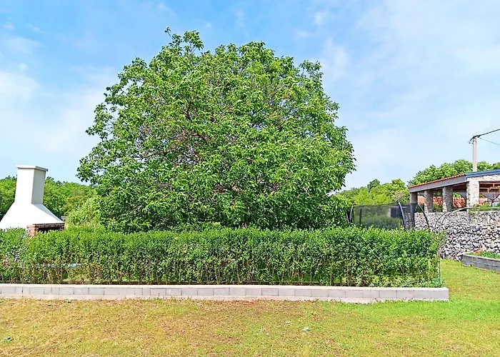 Marko With Football Field Drniš